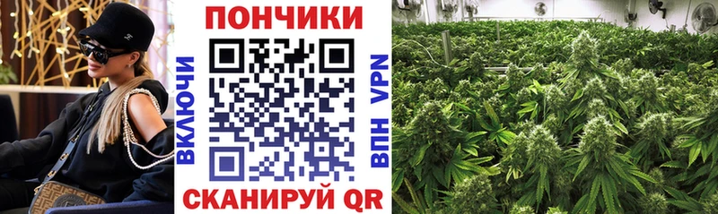 Купить  Шарыпово  Канабис LSD WEED 